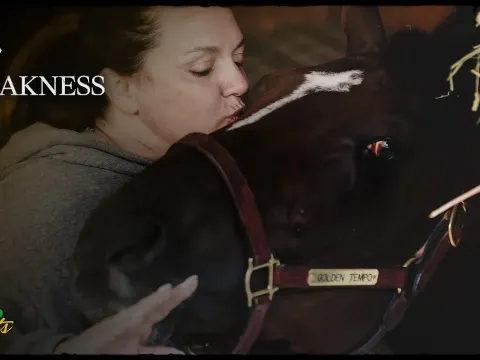 Kentucky Derby Winner Golden Tempo Skipping Preakness Stakes, Field Takes Shape