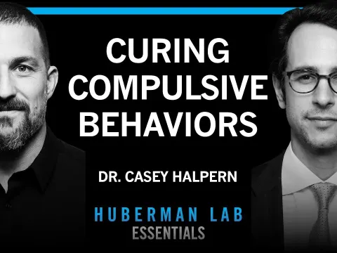 Deep Brain Stimulation for Compulsive Behaviors: A Neurosurgeon Explains