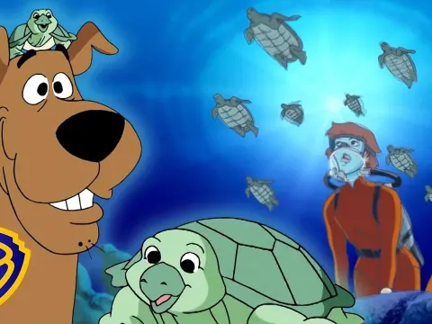 Eco-Extremist Uses Turtle Protection as Cover for Resort Scheme