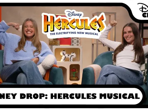 Disney's Hercules Musical Live Performance Review and Experience