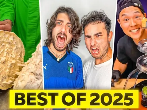 Lionfield's Best Cooking Moments from 2025 Shorts Compilation