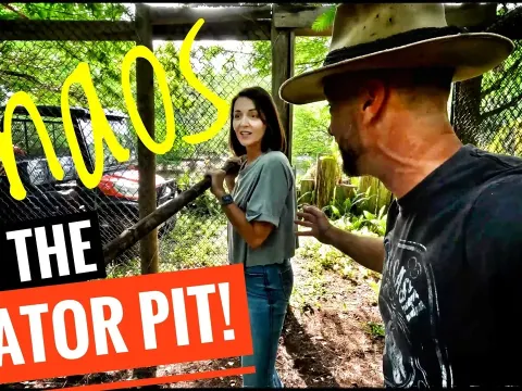 First-Time Alligator Feeding Experience at a Reptile Sanctuary