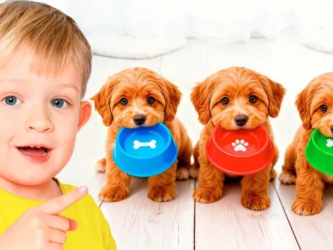 Animal Stories for Kids