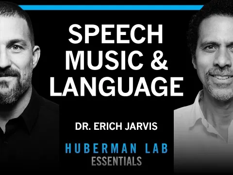 How the Brain Organizes Speech, Language, and Music: Insights from Neuroscience