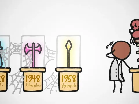 Why No New Antibiotics Have Been Discovered in 40 Years