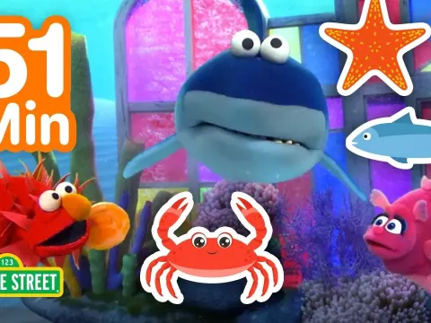 Explore Ocean Animals with Elmo: A Fun Underwater Adventure