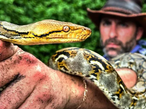 Inside a Bat-Filled Cave: Hunting Reticulated Pythons in Bali