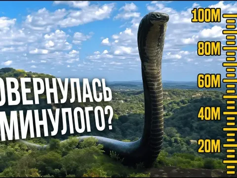 Snake: Titanoboa and Why It Matters