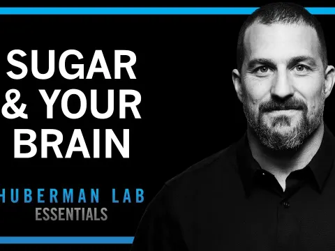 How to Control Sugar Cravings Using Science-Based Tools for Better Metabolism