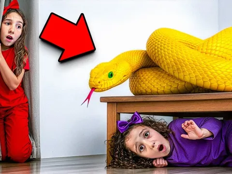Sister Saves Sibling from Snake in Toy Box Emergency