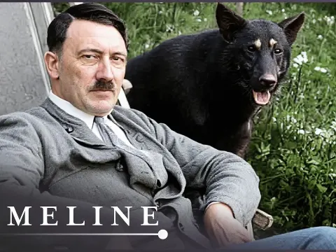 Hitler's Dark Obsession with Animals: How the Nazis Used Animal Welfare to Justify Genocide