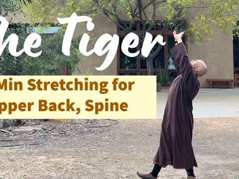 Qigong Tiger Stretch for Upper Back and Spine Relief