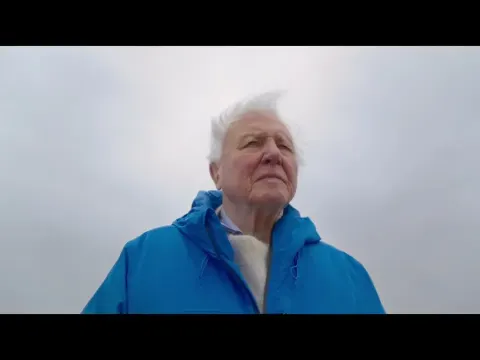 David Attenborough Explains Why Protecting Our Oceans Is Crucial for Earth's Future