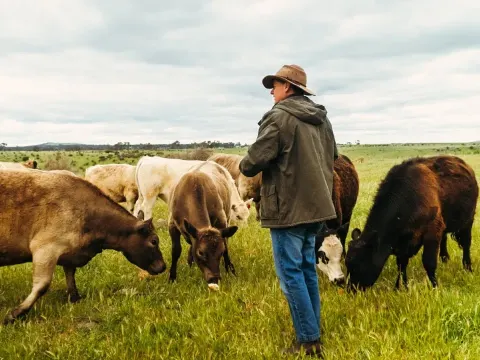 Australia's Food Security Challenges Amid Fuel and Climate Pressures