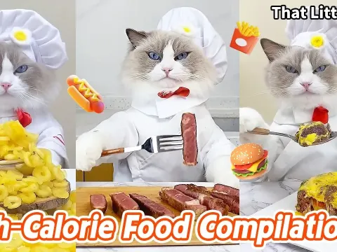 Indulgent High-Calorie Food Creations and Cooking Ideas