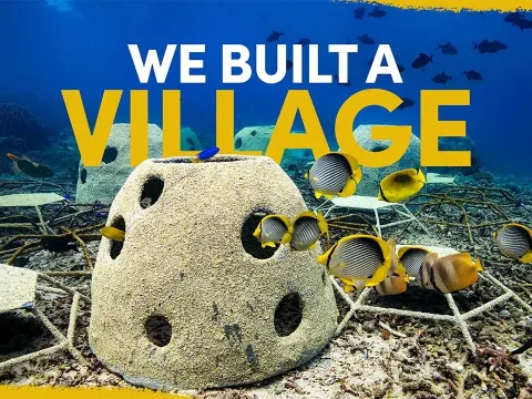 Building an Underwater Coral Village: Deploying Artificial Reef Structures to Restore Marine Bio