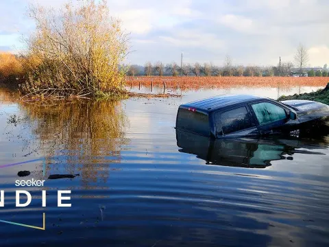 How Clear-Cutting Forests in British Columbia Is Worsening Flood Risks