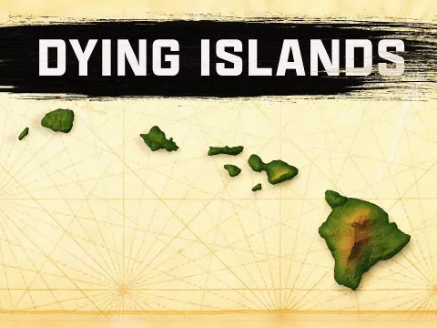 The Crisis Facing Hawaii: A History of Colonization and Displacement