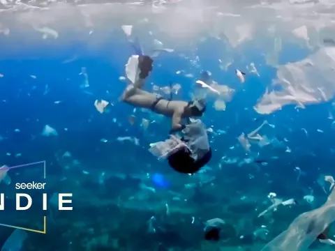 How Plastic Pollution Threatens Coastal Economies and Marine Ecosystems