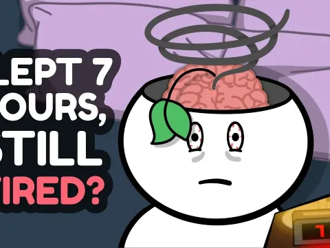 How Sleep Cycles Affect Energy Levels and Mental Health