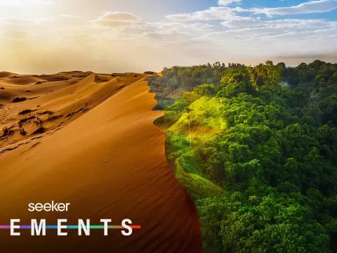The Sahara Desert Was Once Green and Lush, and a Massive Project Aims to Restore It