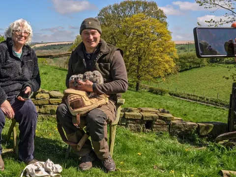 Tawny Owl Chicks Receive Identification Rings in Exclusive Member Video