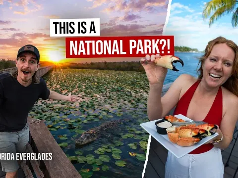 Exploring the Florida Everglades: America's Most Unique National Park