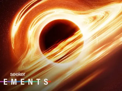 How Black Holes Form, Grow, and Eventually Die