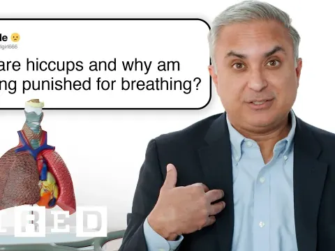 How Your Lungs Work: Breathing, Asthma, Hiccups, and Vaping Risks Explained by a Pulmonologist