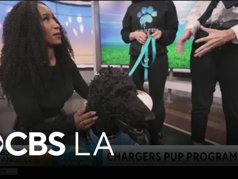 Chargers Pup Program Highlights How Service Dogs Change Lives for People With Disabilities