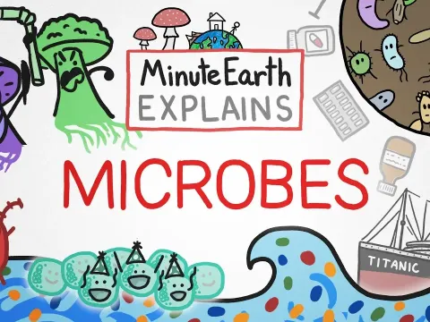 The Hidden World of Microbes How Tiny Organisms Shape Our Food Health and Environment