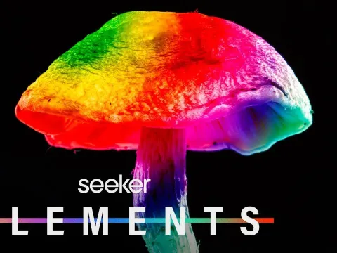 Psychedelic Mushrooms Show Promise in Treating Depression Compared to Traditional Antidepressant