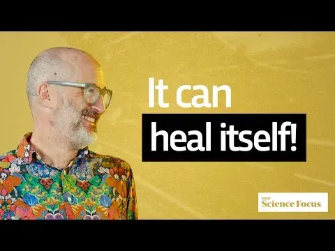 Exploring the Strangest Future Materials with Materials Scientist Mark Miodownik