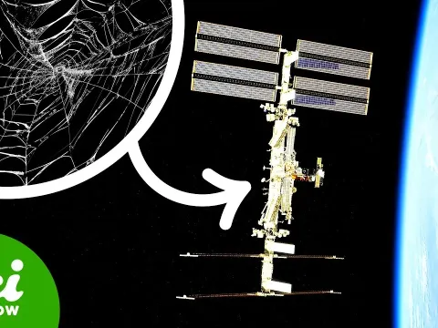 Five Strange Discoveries Made Possible by the International Space Station