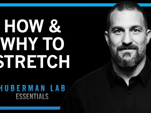 Research-Backed Stretching Protocols to Improve Flexibility