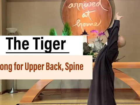 Tiger Qigong Stretches for Upper Back and Spine Relief