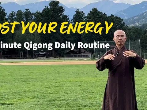 Qigong Organs Facts Risks and Advice