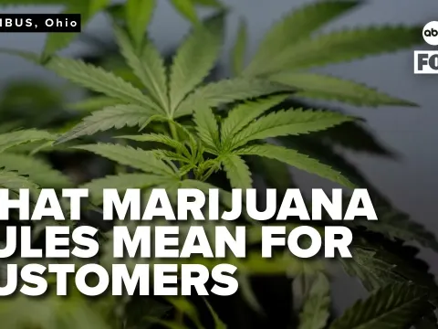 Ohio's New Marijuana Rules Cut THC Limits and Change What Shoppers Can Buy