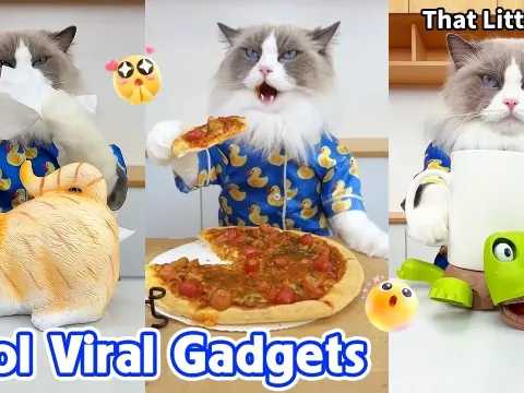 Must-See Viral Gadgets That Will Blow Your Mind