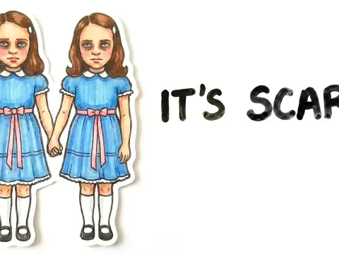 The Unbelievable Coincidences of Twins Separated at Birth