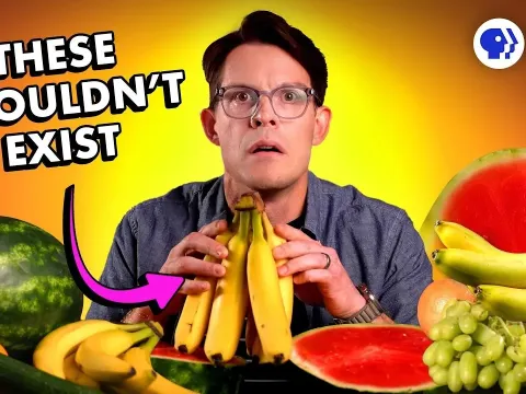 The Hidden Risks of Seedless Fruits and What They Mean for Our Food Supply