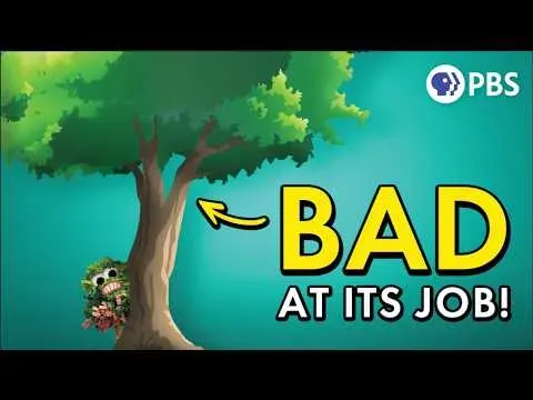 The Critical Flaw in Photosynthesis and How Scientists Plan to Fix It