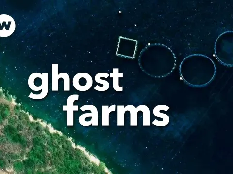 Abandoned Fish Farms Are Spreading Plastic Along Greece's Coastline