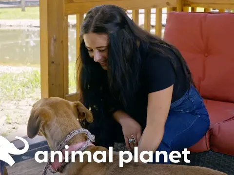 A First-Time Adopter Finds Her Perfect Match at a Rescue Shelter