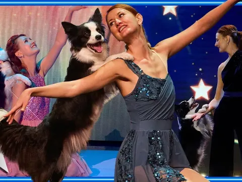 Anastasiia and Her Dancing Dog Salsa Deliver an Unforgettable Performance on BGT