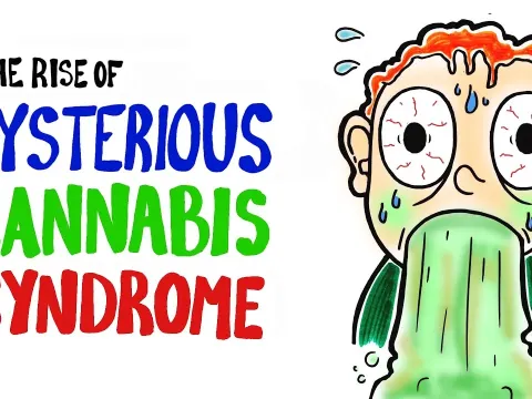 The Science Behind Cannabis Hyperemesis Syndrome and Its Link to Legalization