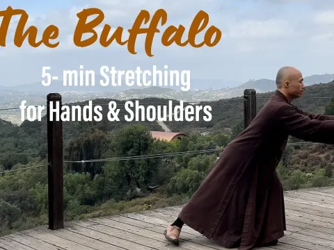 Five Minute Qigong Routine to Stretch Hands and Shoulders for Deep Relaxation