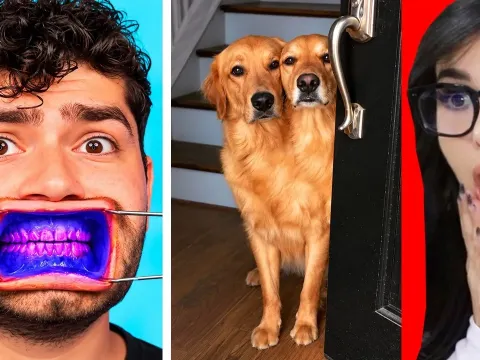 Mind-Bending TikTok Optical Illusions That Will Leave You Questioning Reality