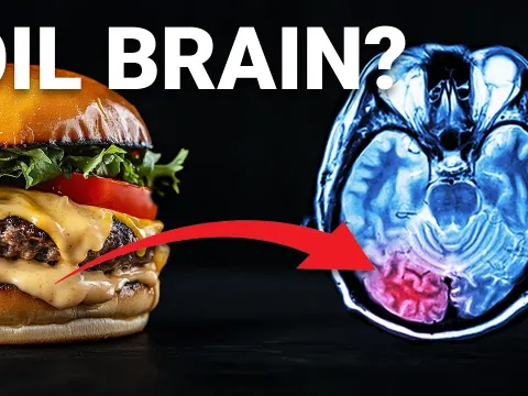 How a Common Cooking Oil May Be Shrinking Your Brain and Lowering IQ