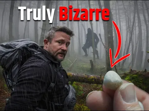Searching for Bigfoot Led to a Discovery of Mysterious Ancient Stones
